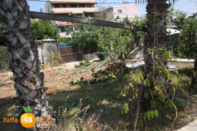 hadmqobtan423zoher (26).JPG